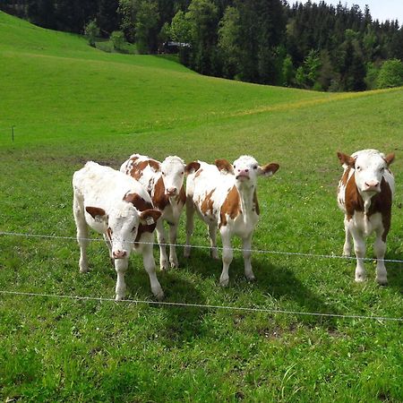 Bio-Bauernhof Niederlehen Villa Fieberbrunn Eksteriør billede